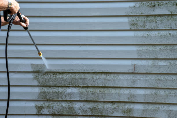 Affordable Siding Repair and Maintenance Services in Onalaska, TX