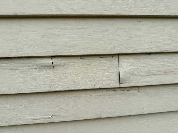 Best Steel Siding Installation  in Onalaska, TX